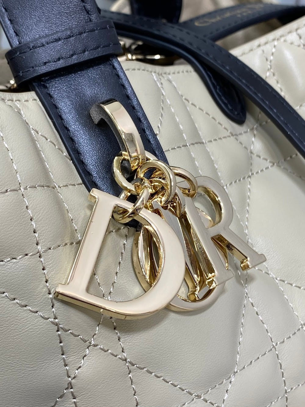 Ezyycart Bags Diorn Luxury Bag --115973