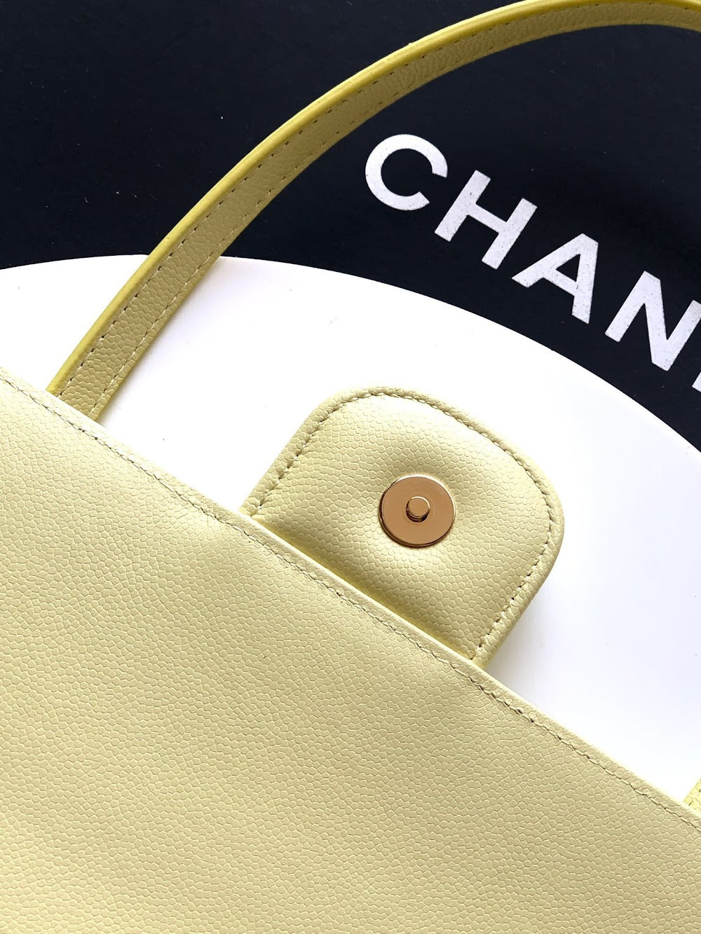 Anum Bags CHn Luxury Bag --112739