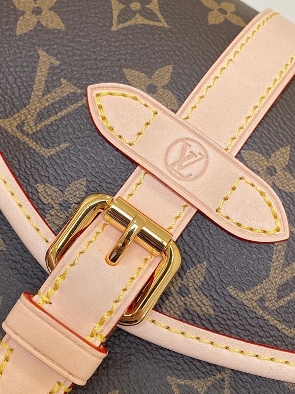 Anum Bags LVn Luxury Bag --79498
