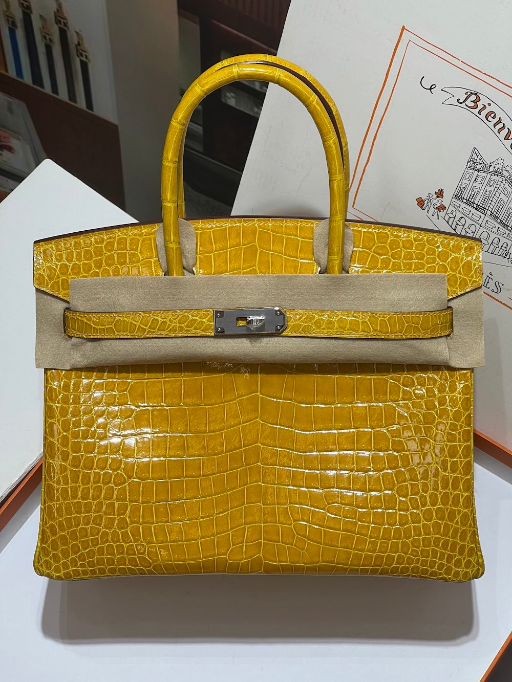Anum Bags Hermesn Luxury Bag --117173