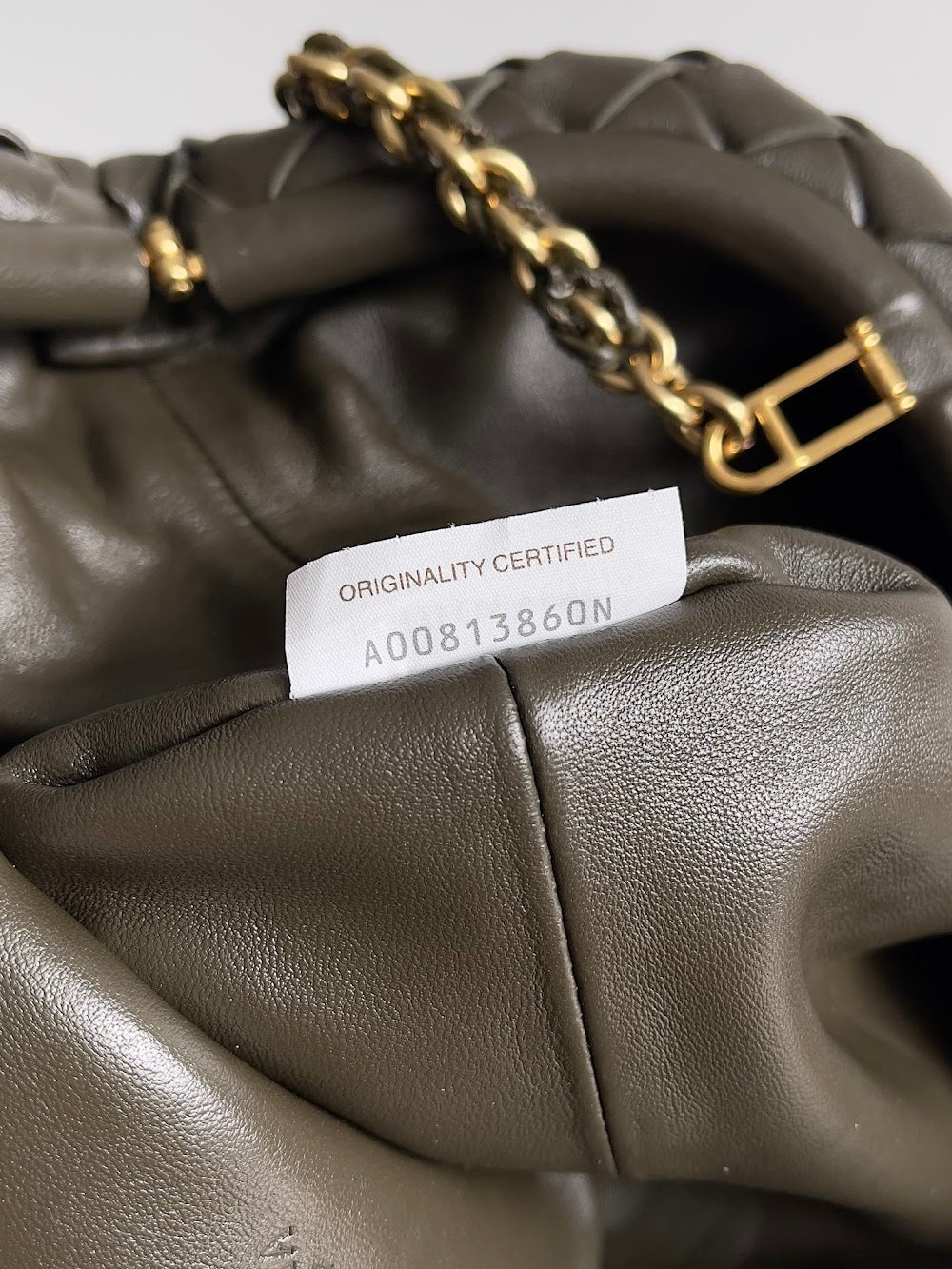 Ezyycart Bags Bottegan Luxury Bag --91103