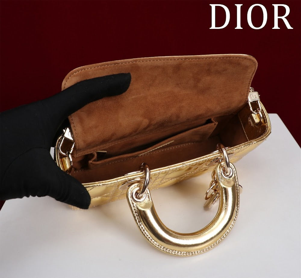 Anum Bags Diorn Luxury Bag --114732