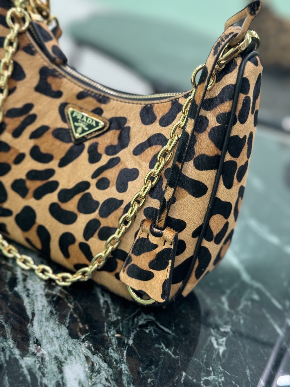 Ezyycart Bags Pradn Luxury Bag --101649