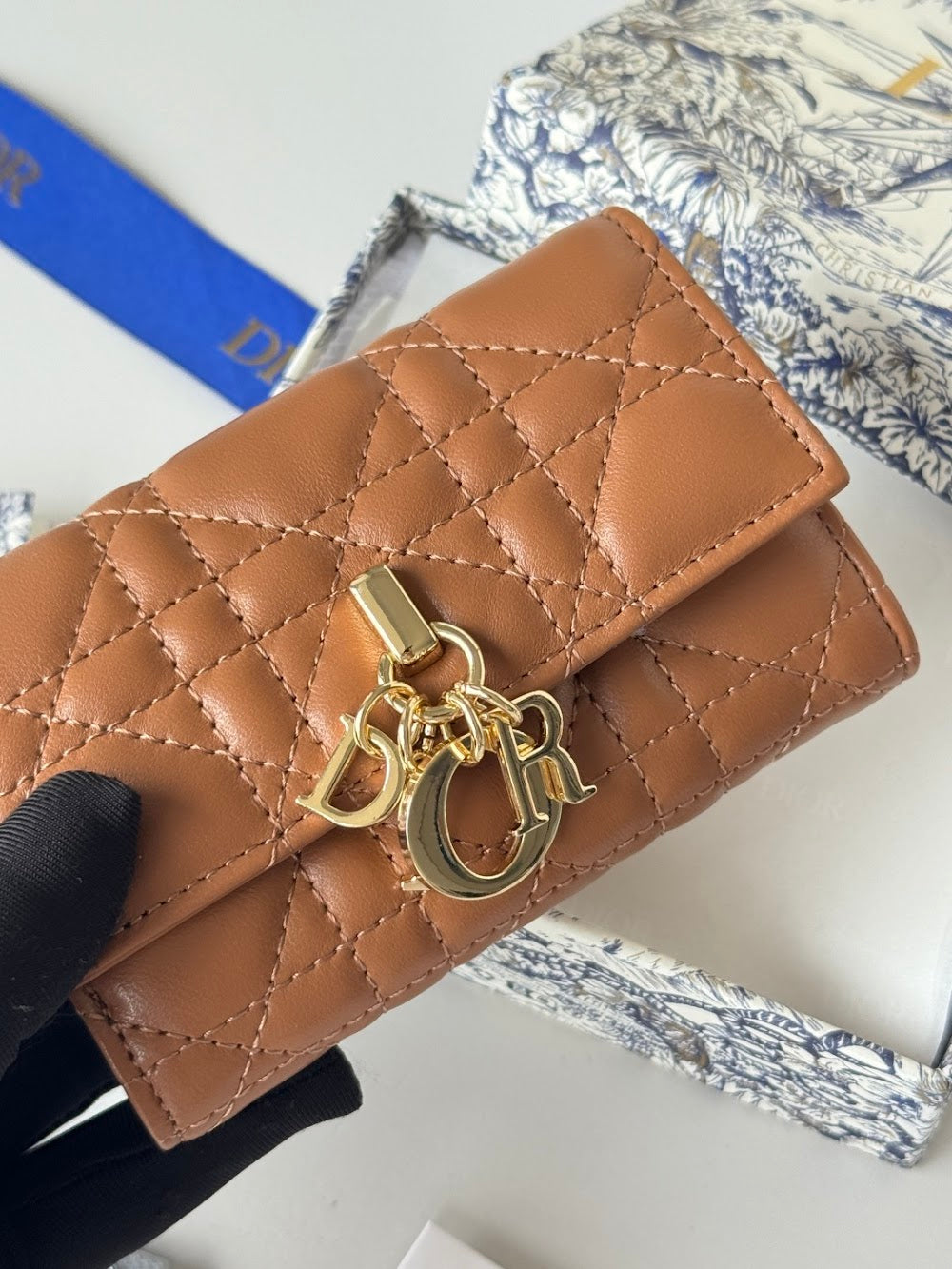Anum Bags Diorn Luxury Bag --114489