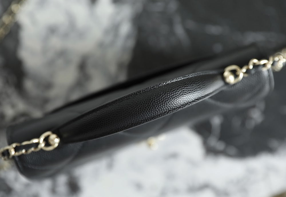Anum Bags CHn Luxury Bag --113598