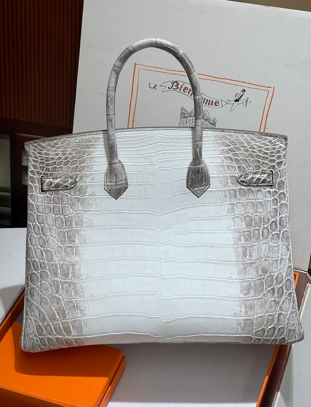 Anum Bags Hermesn Luxury Bag --116726