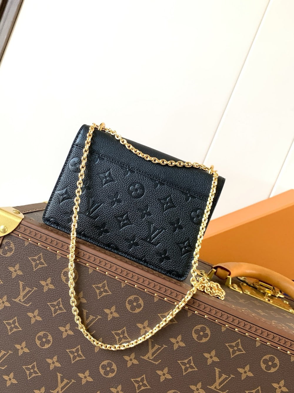 Anum Bags LVn Luxury Bag --79817