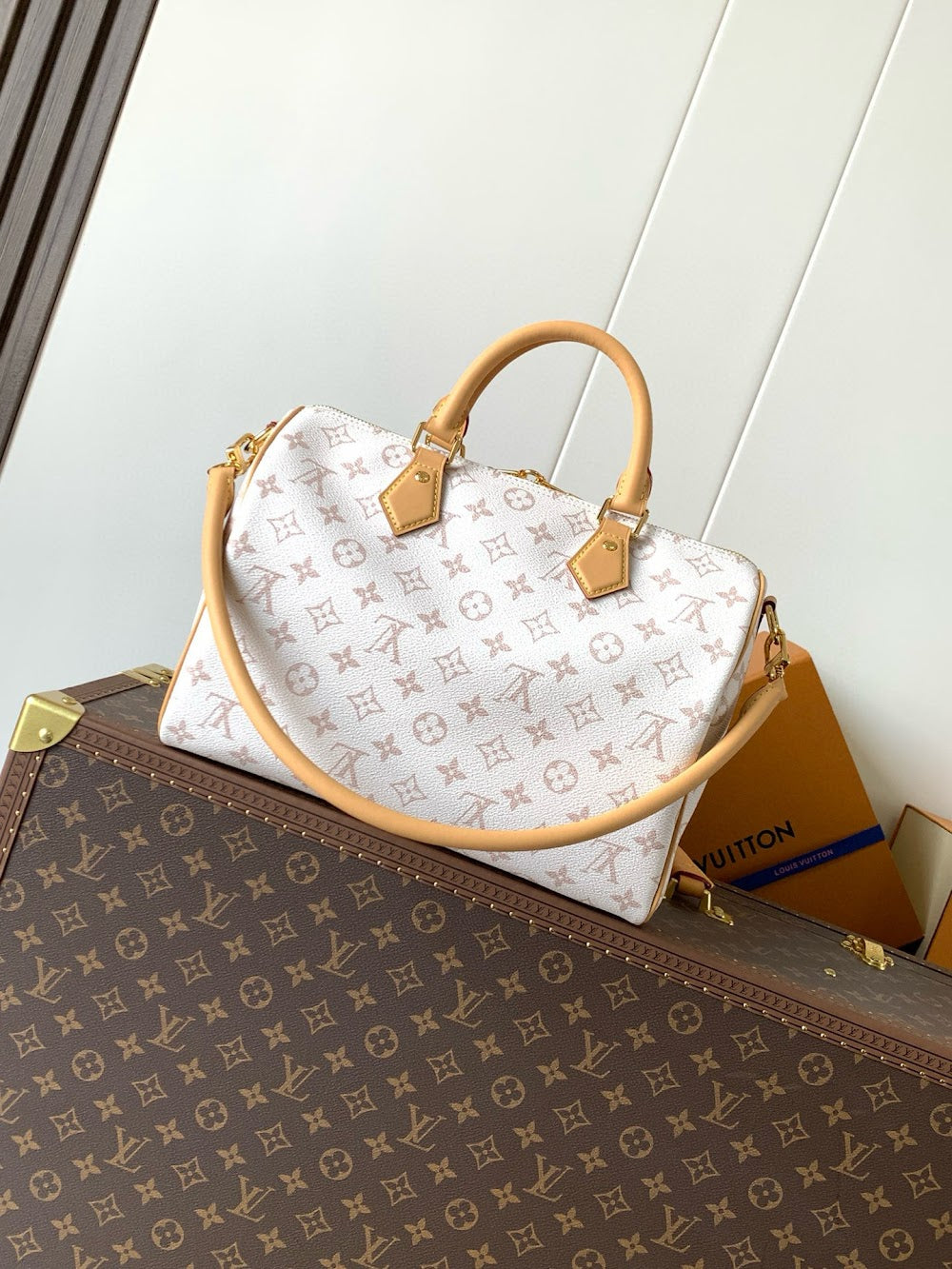 Anum Bags LVn Luxury Bag --79216