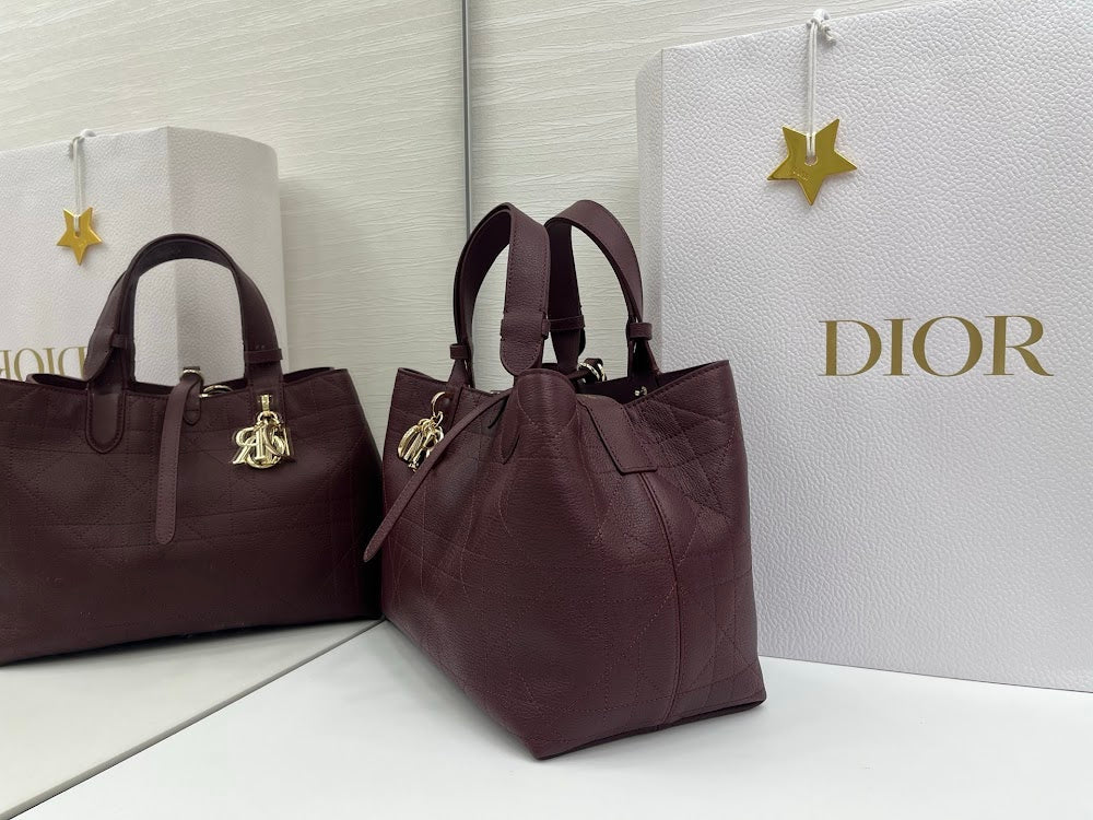 Ezyycart Bags Diorn Luxury Bag --115390