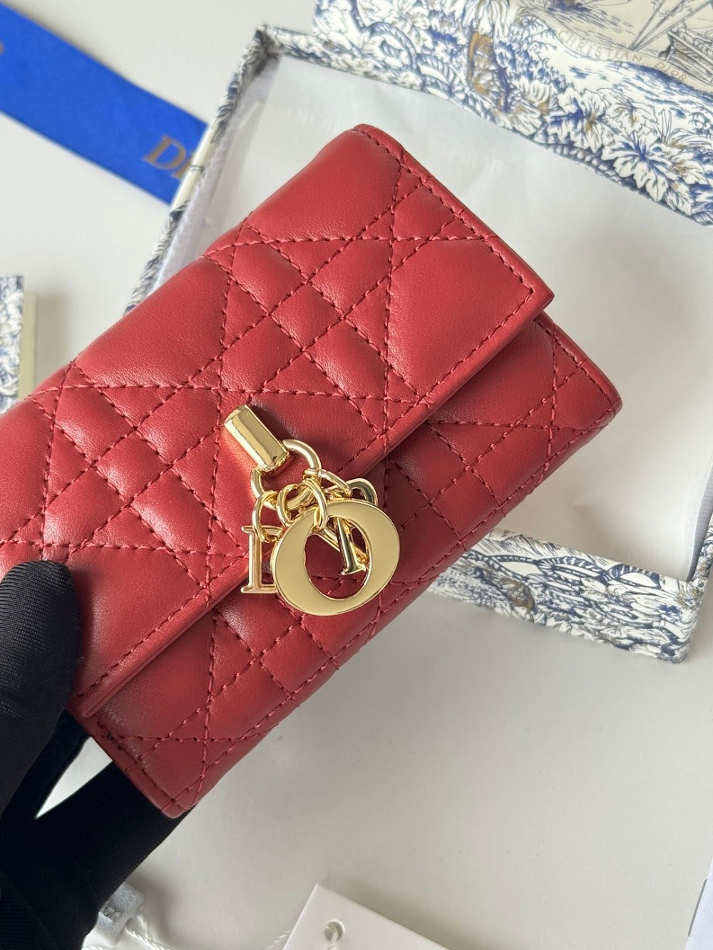 Anum Bags Diorn Luxury Bag --114490
