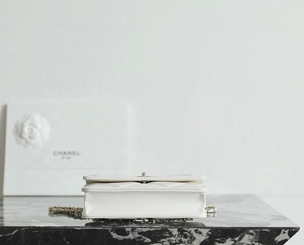 Anum Bags CHn Luxury Bag --113618