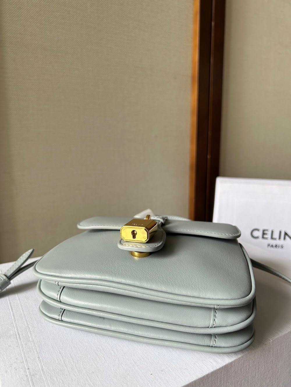 Ezyycart Bags Celine Luxury Bag --112515