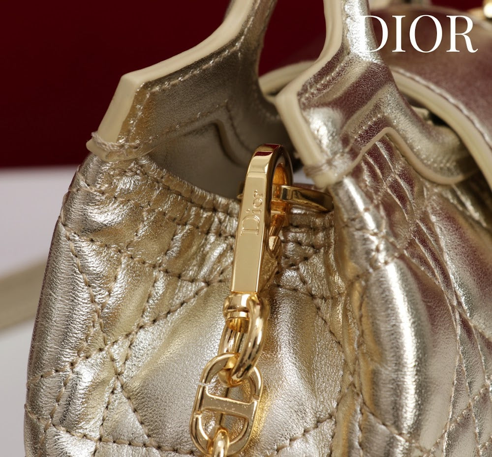 Anum Bags Diorn Luxury Bag --114557