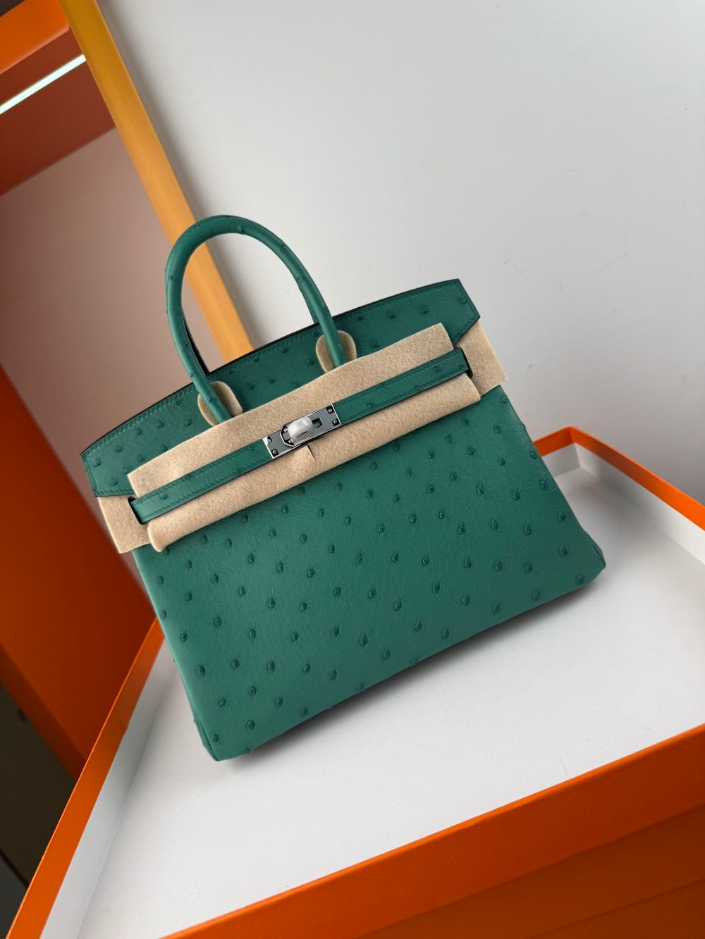 Anum Bags Hermesn Luxury Bag --116756
