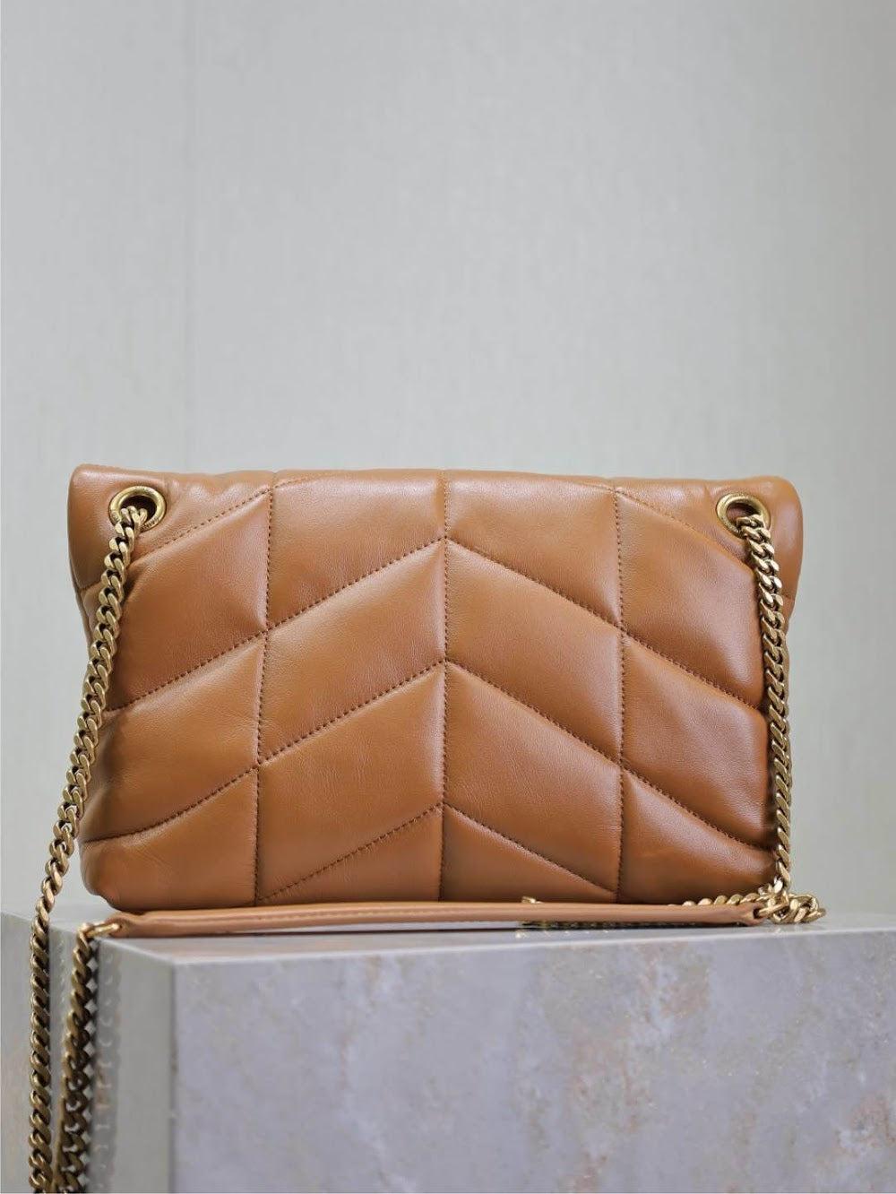 Ezyycart Bags YSLn Luxury Bag --119433