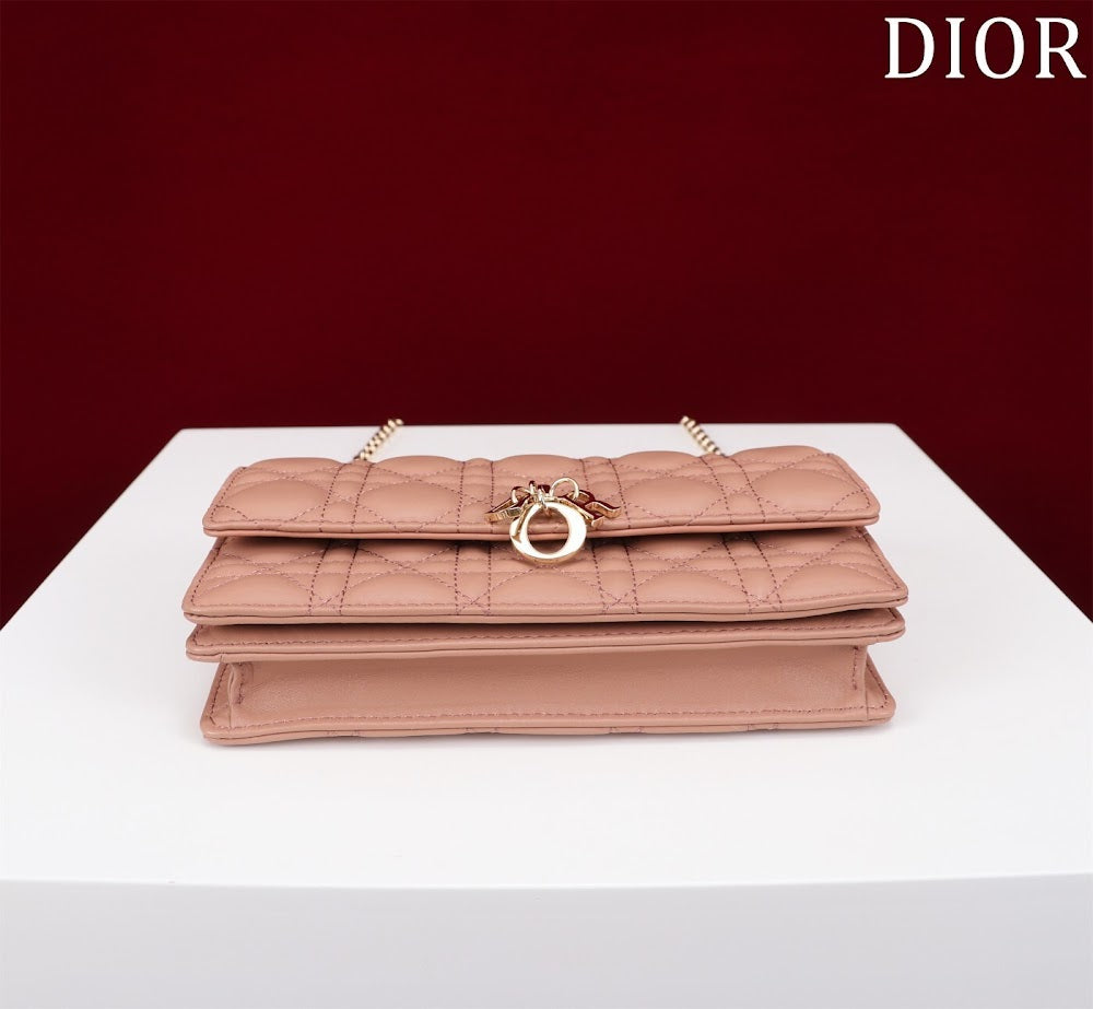 Ezyycart Bags Diorn Luxury Bag --116233