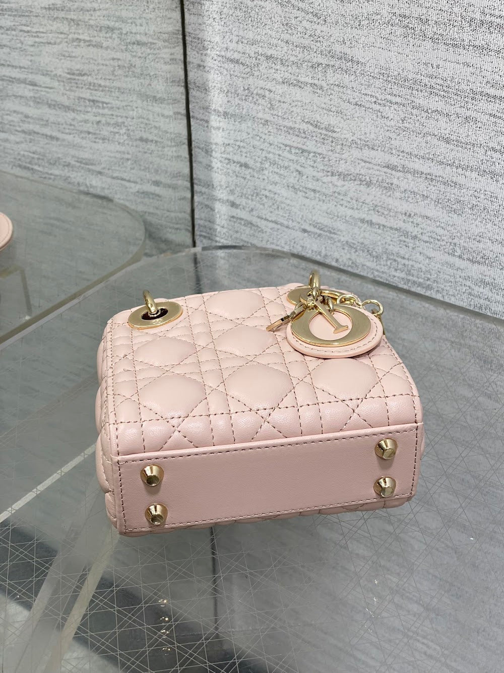 Anum Bags Diorn Luxury Bag --114983