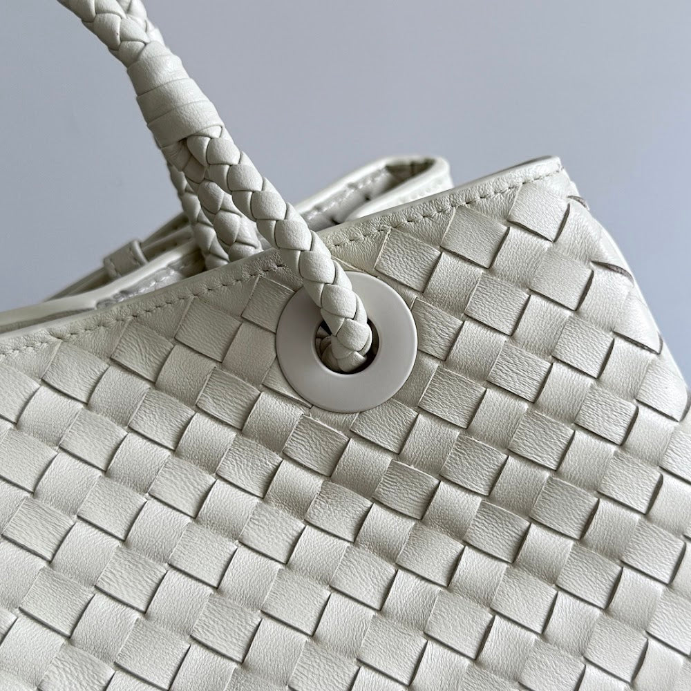 Ezyycart Bags Bottegan Luxury Bag --91444