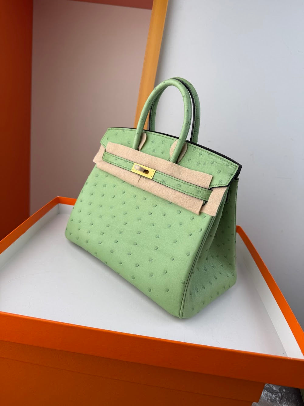 Anum Bags Hermesn Luxury Bag --116759