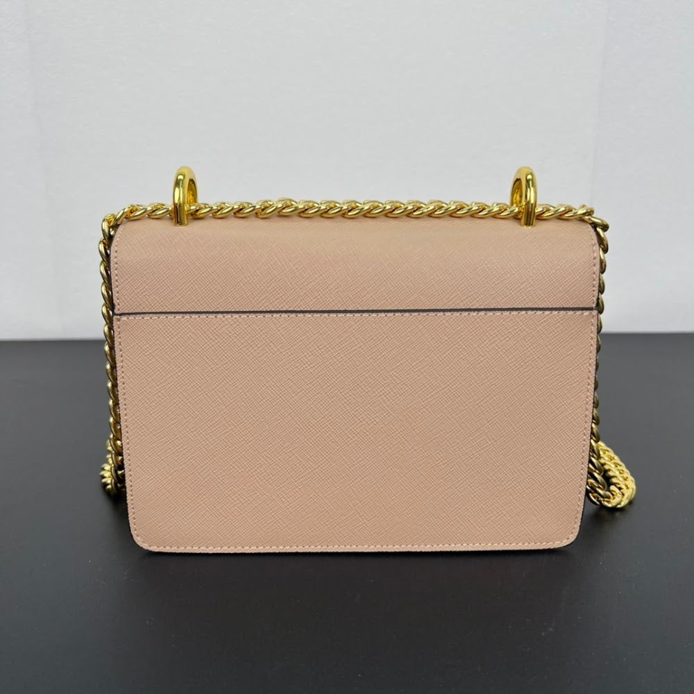 Ezyycart Bags pradn Luxury Bag --73214