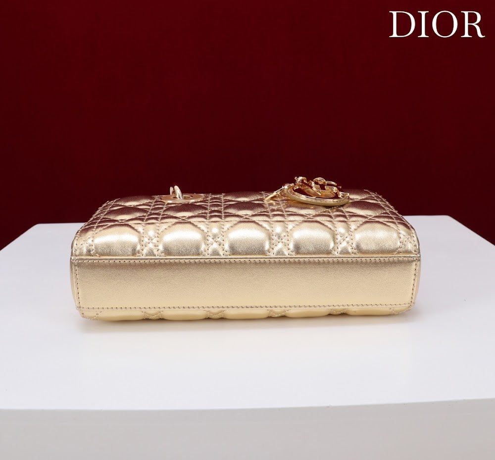 Anum Bags Diorn Luxury Bag --114716