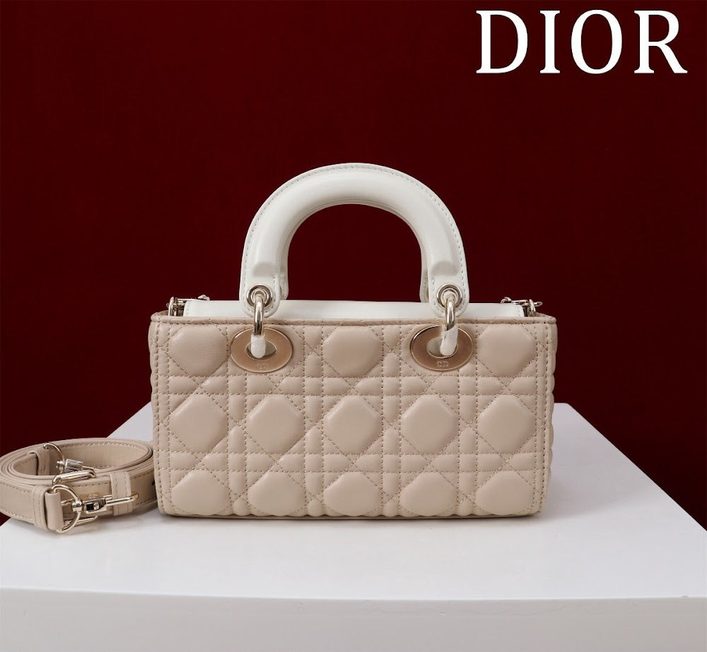 Anum Bags Diorn Luxury Bag --114855
