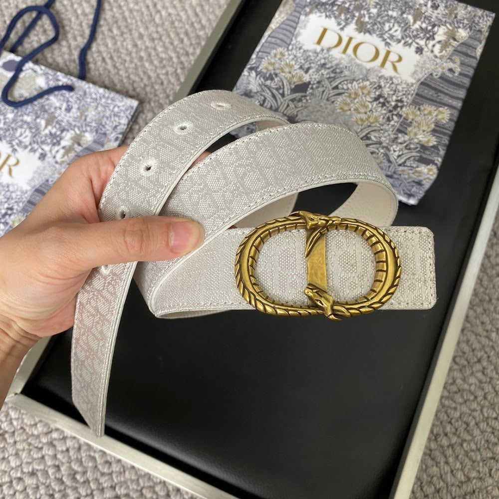 Ezyycart Bags Diorn Luxury Belt --107754