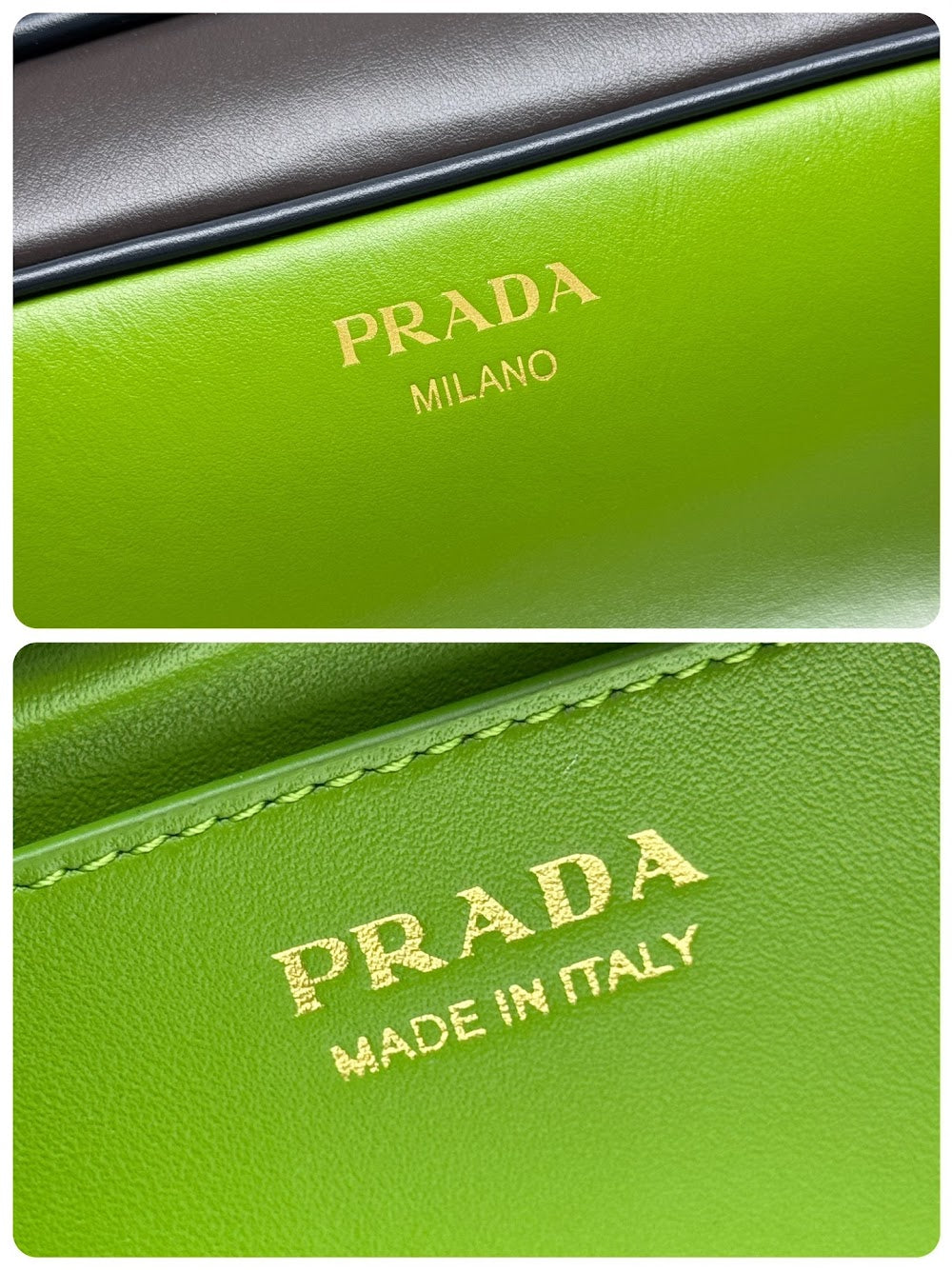 Ezyycart Bags Pradn Luxury Bag --101919