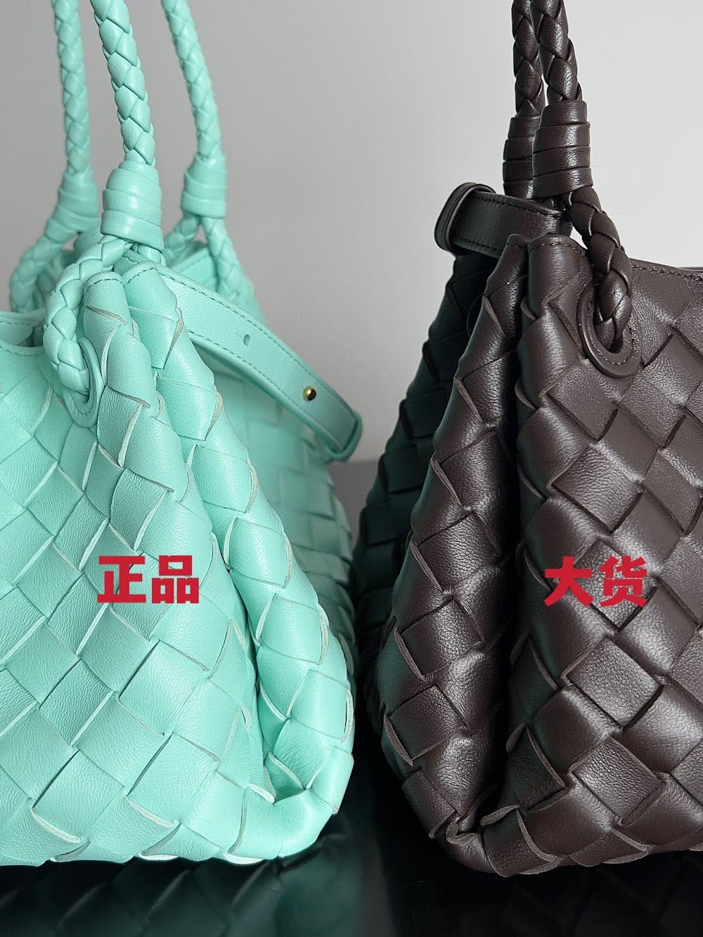 Ezyycart Bags Bottegan Luxury Bag --91093