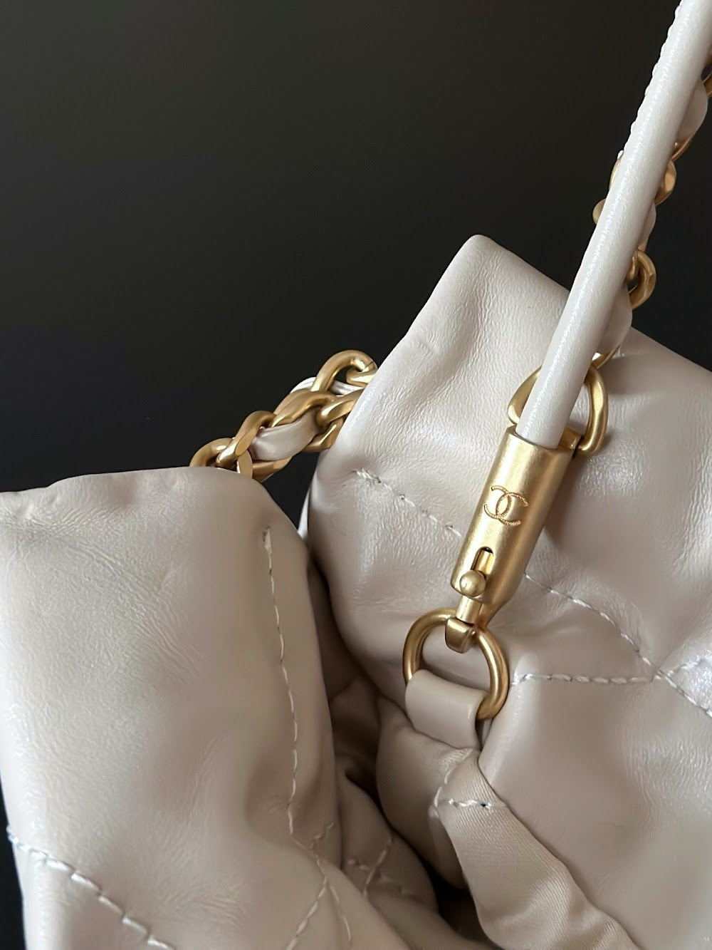 Anum Bags CHn Luxury Bag --114373