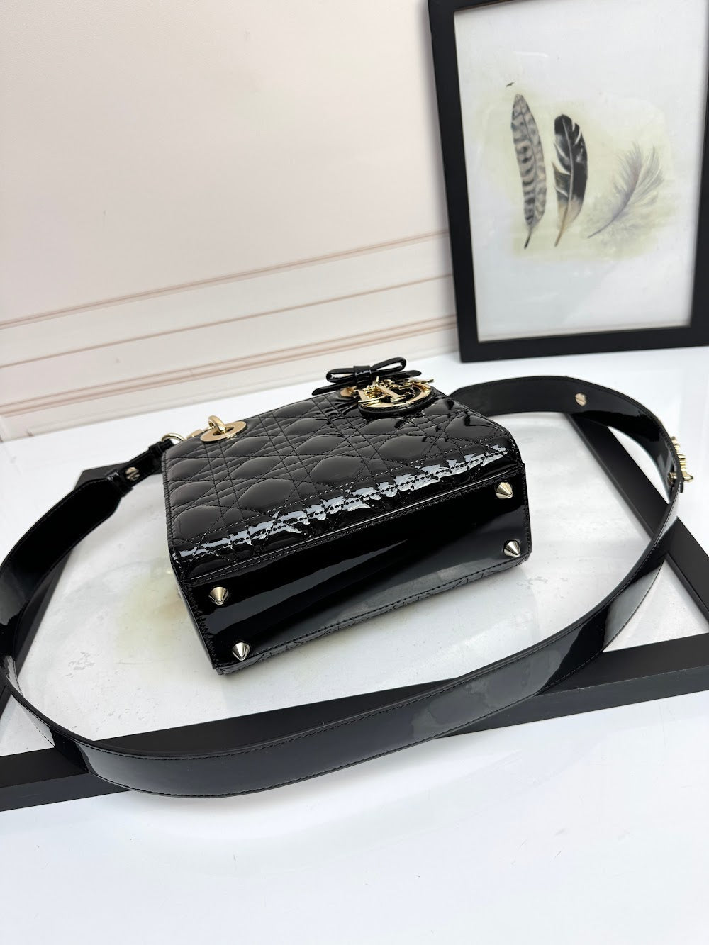 Anum Bags Diorn Luxury Bag --114944