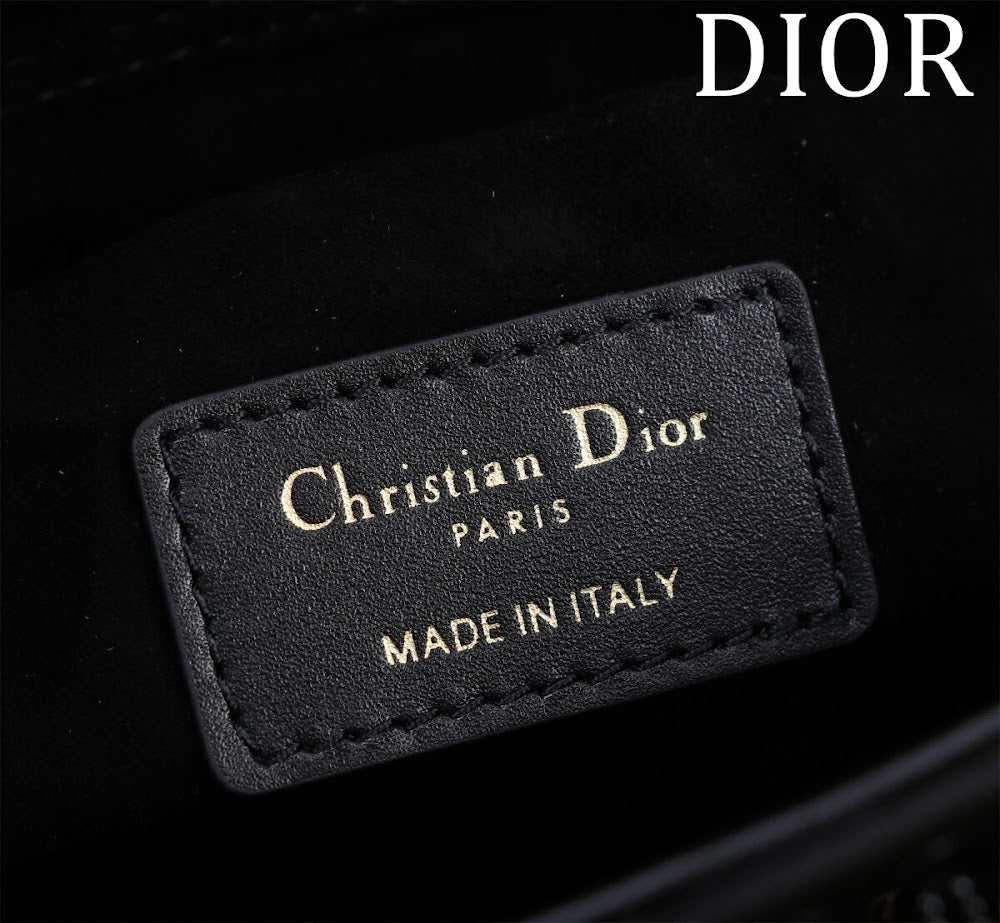 Anum Bags Diorn Luxury Bag --114698
