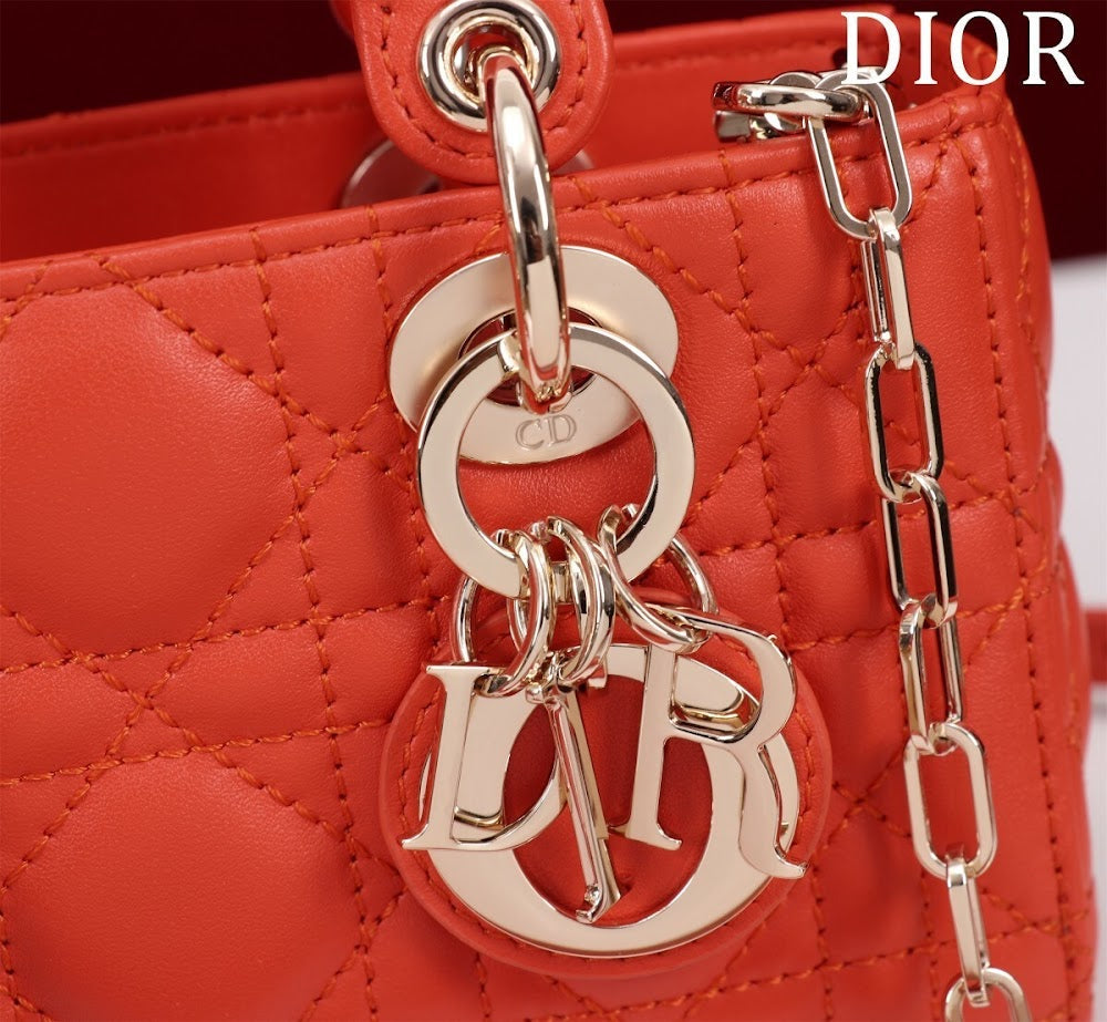 Ezyycart Bags Diorn Luxury Bag --116450
