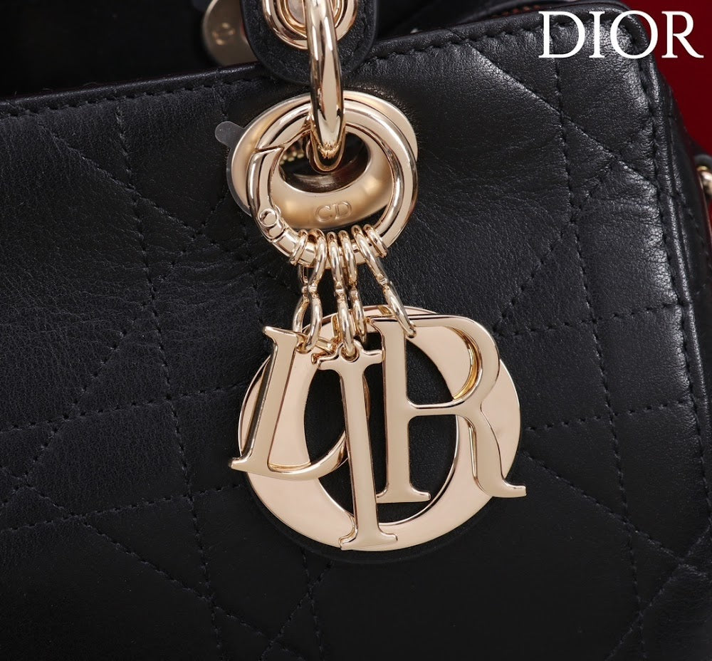 Ezyycart Bags Diorn Luxury Bag --115376