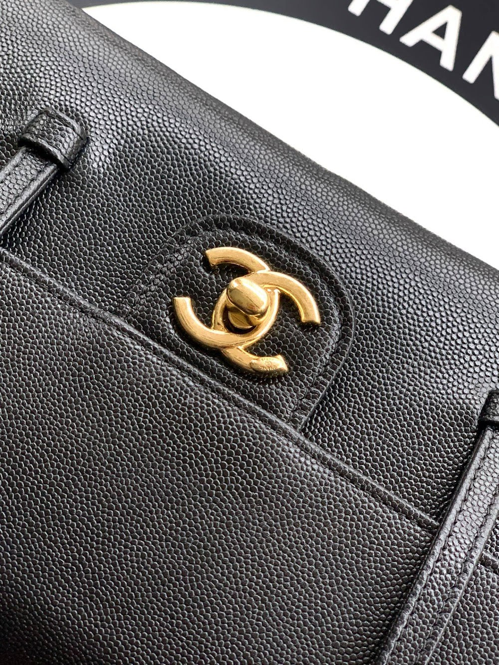 Anum Bags CHn Luxury Bag --113776