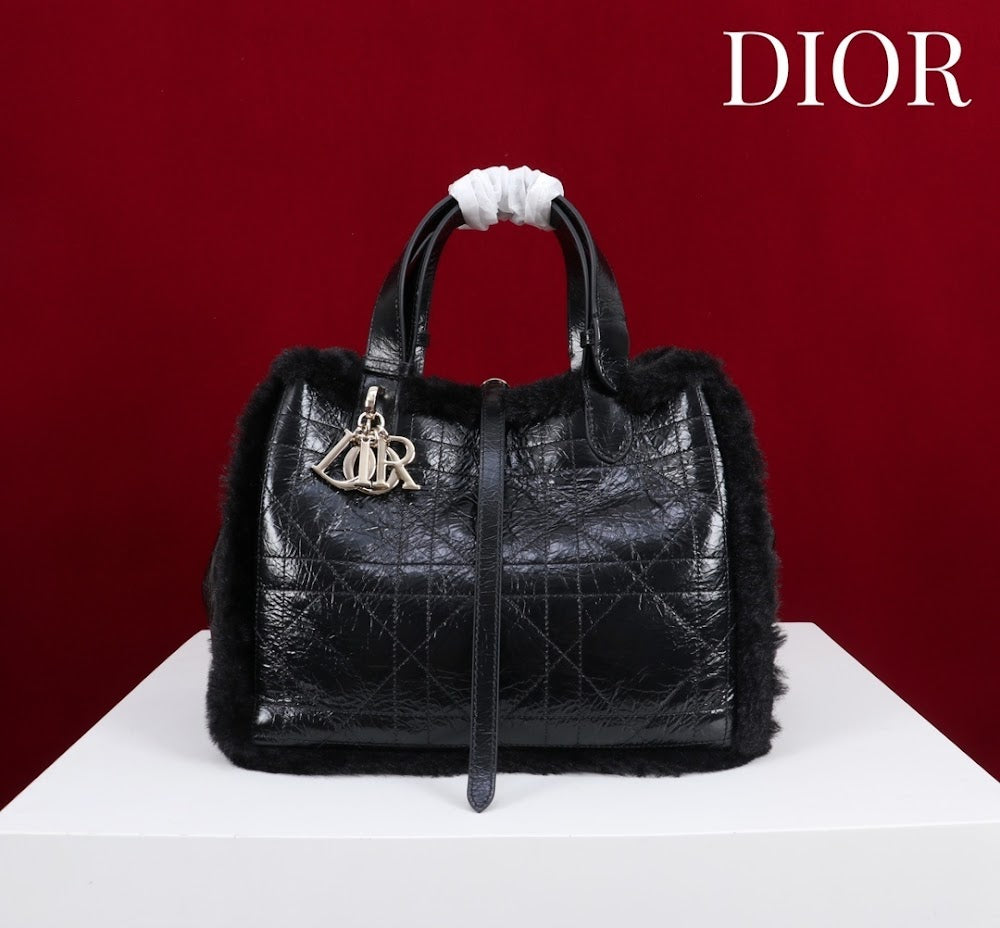 Ezyycart Bags Diorn Luxury Bag --116119