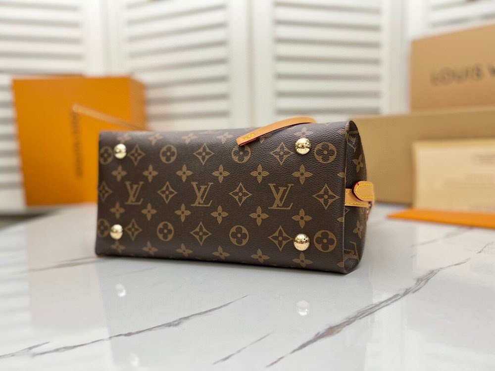 Anum Bags LVn Luxury Bag --81059