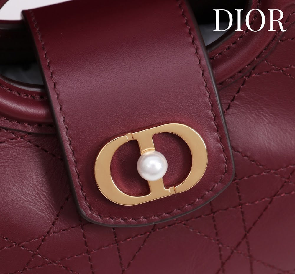 Anum Bags Diorn Luxury Bag --114561