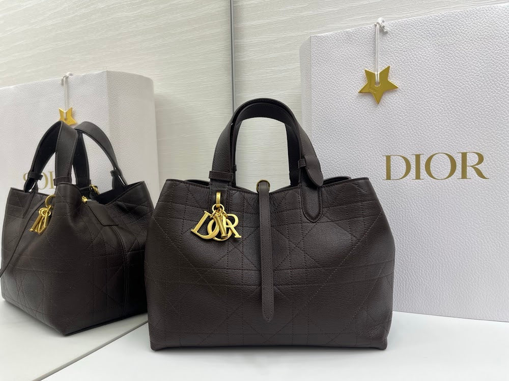 Ezyycart Bags Diorn Luxury Bag --115388