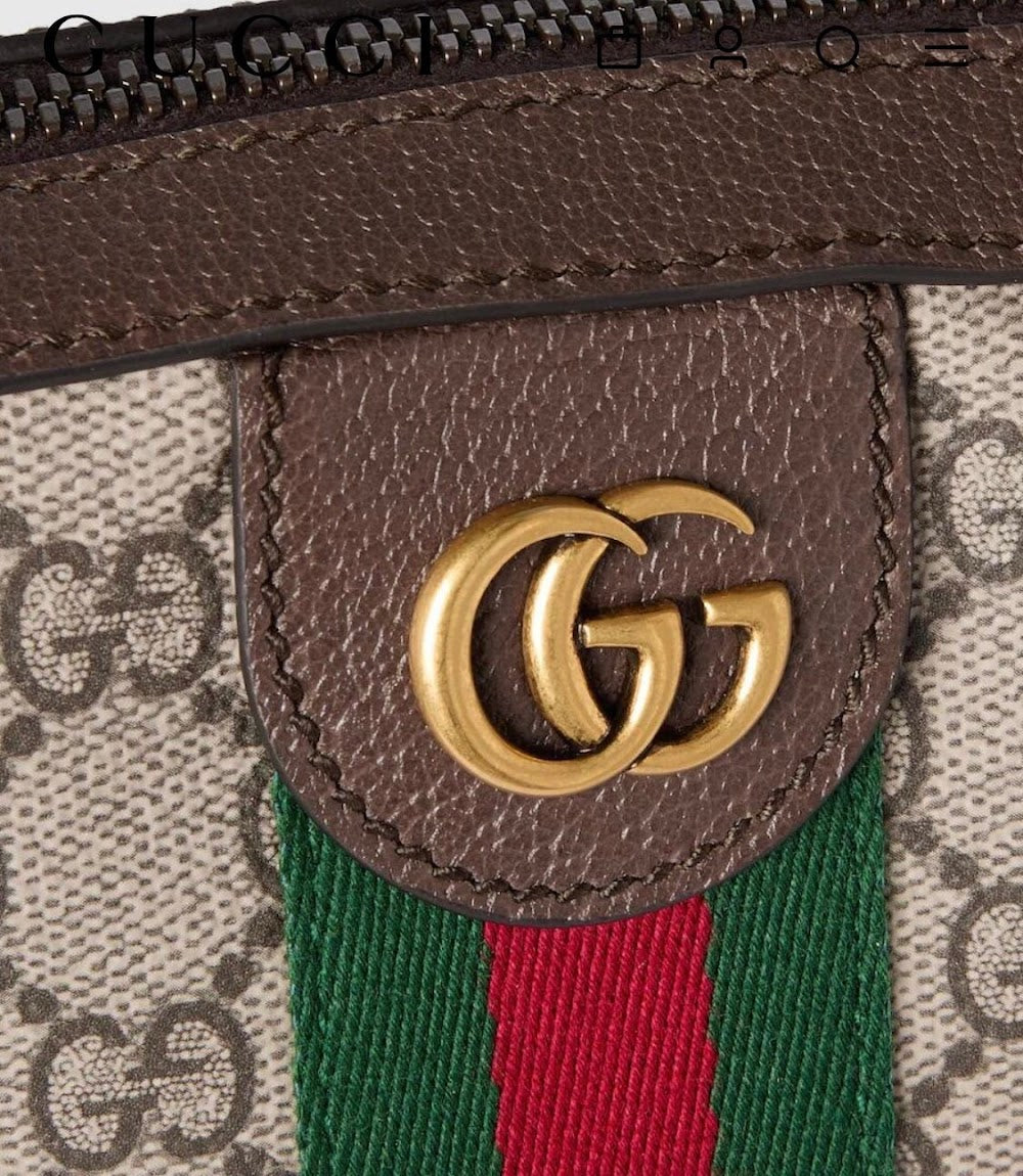 Ezyycart Bags Guccin Luxury Bag --94396