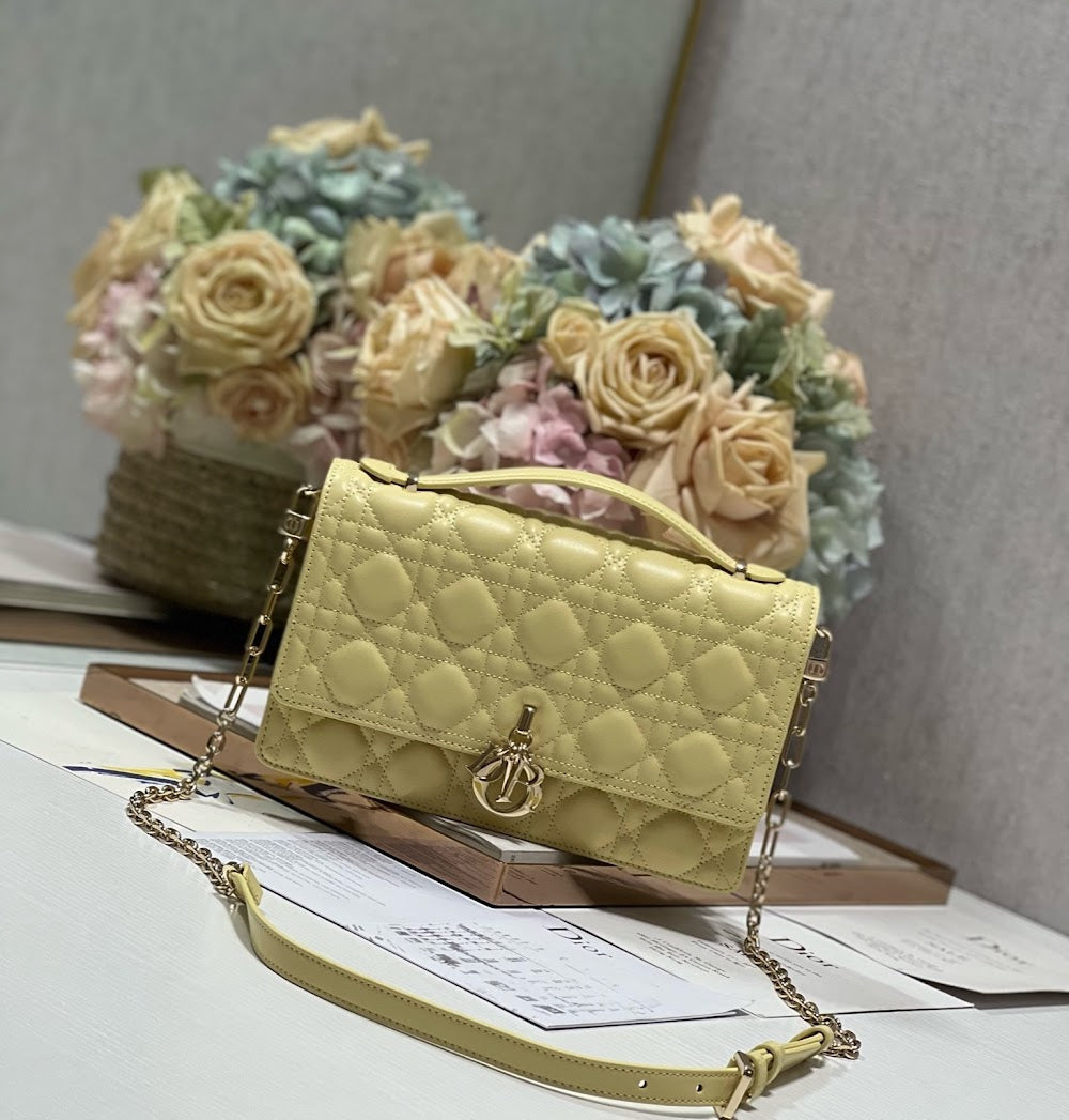 new-designer-premium-bags-nm16149