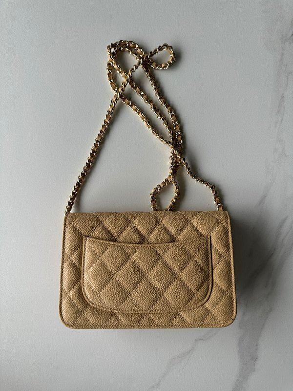 new-luxury-designer-bags-nm20293