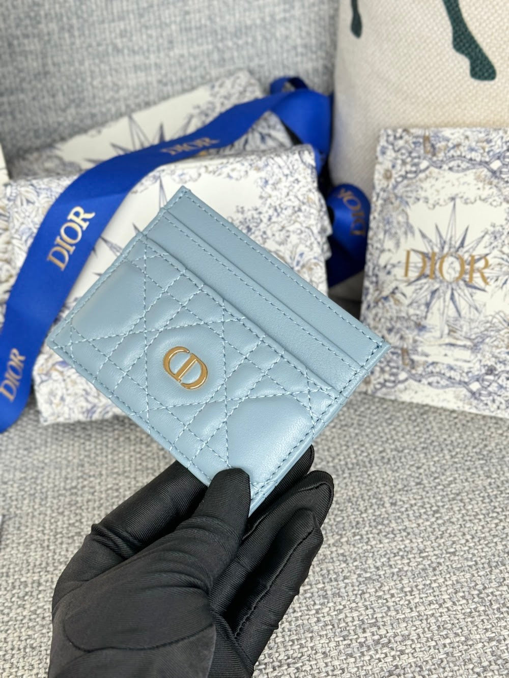 Anum Bags Diorn Luxury Bag --114526