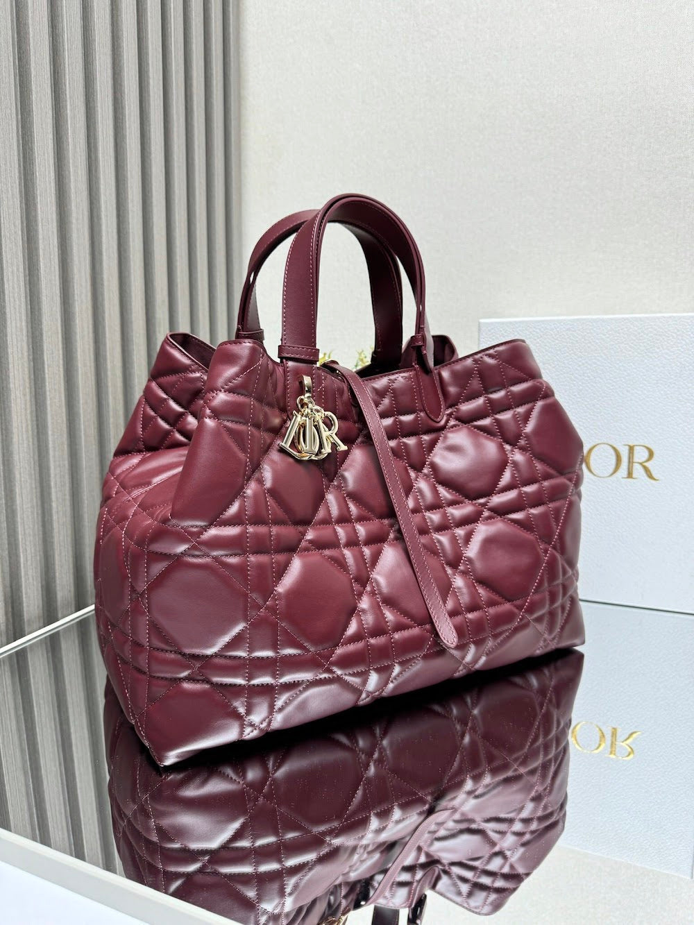 Ezyycart Bags Diorn Luxury Bag --116407
