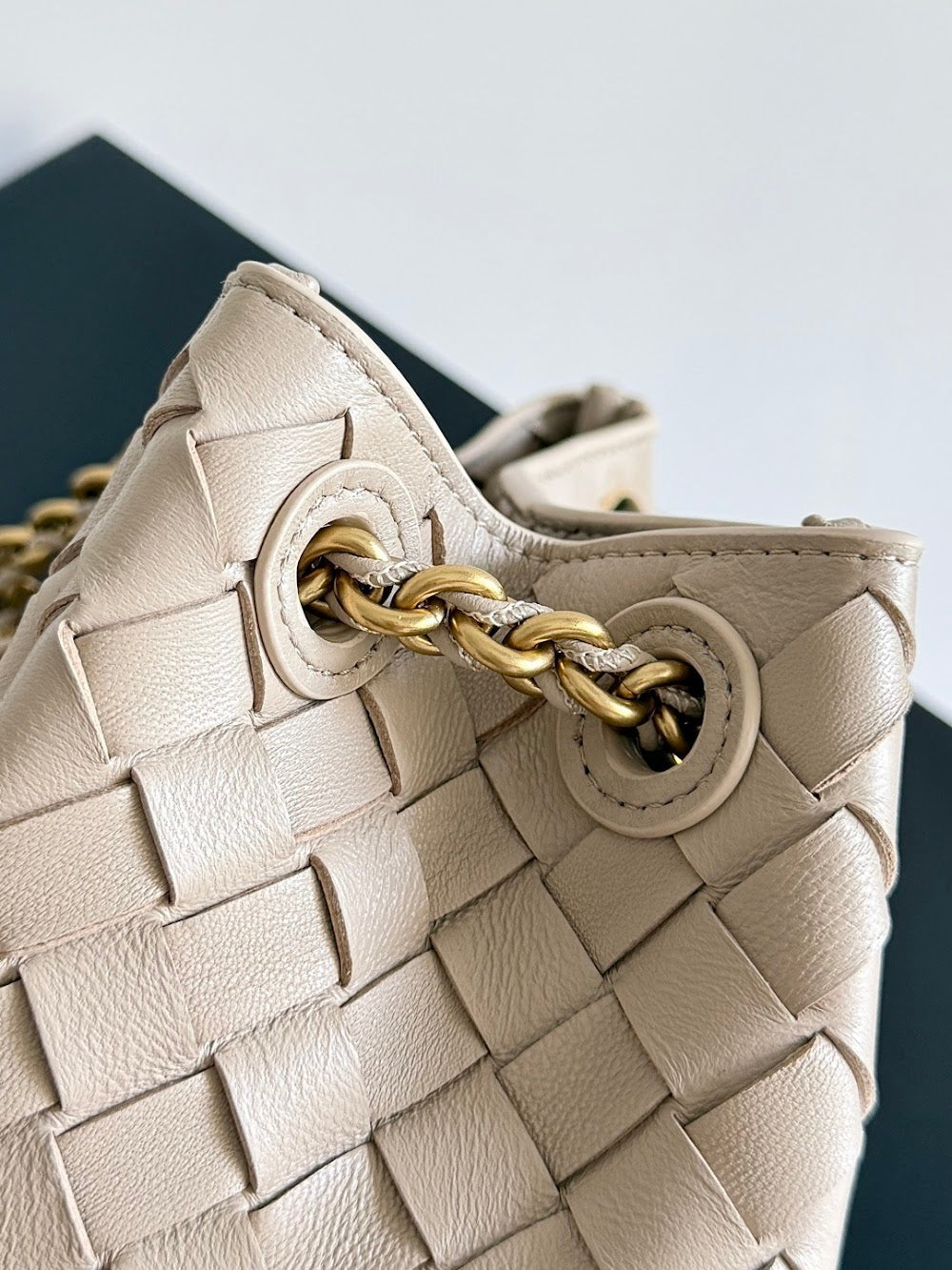 Ezyycart Bags Bottegan Luxury Bag --90474