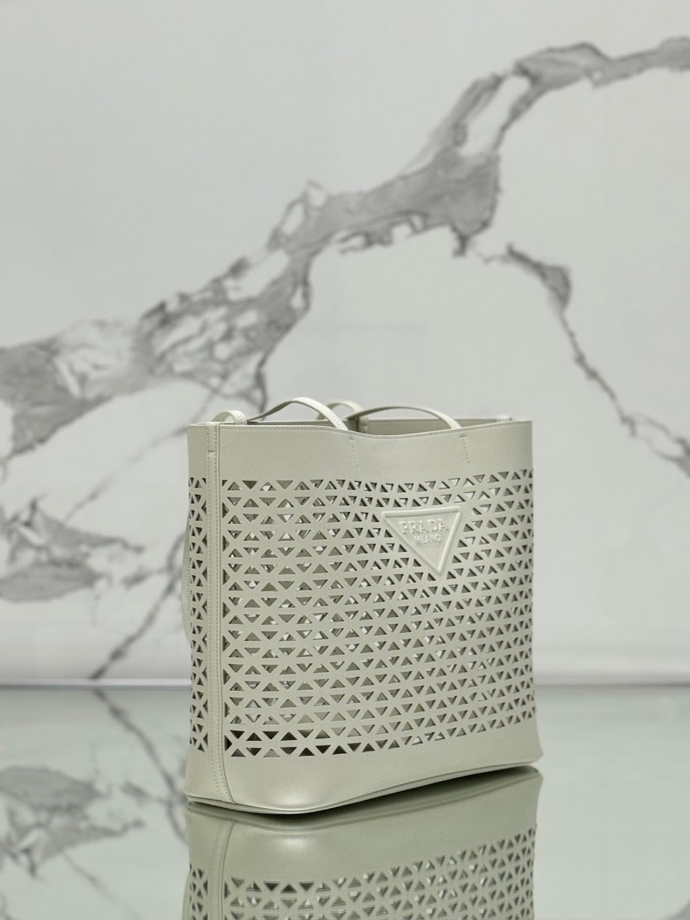 Ezyycart Bags Pradn Luxury Bag --101901