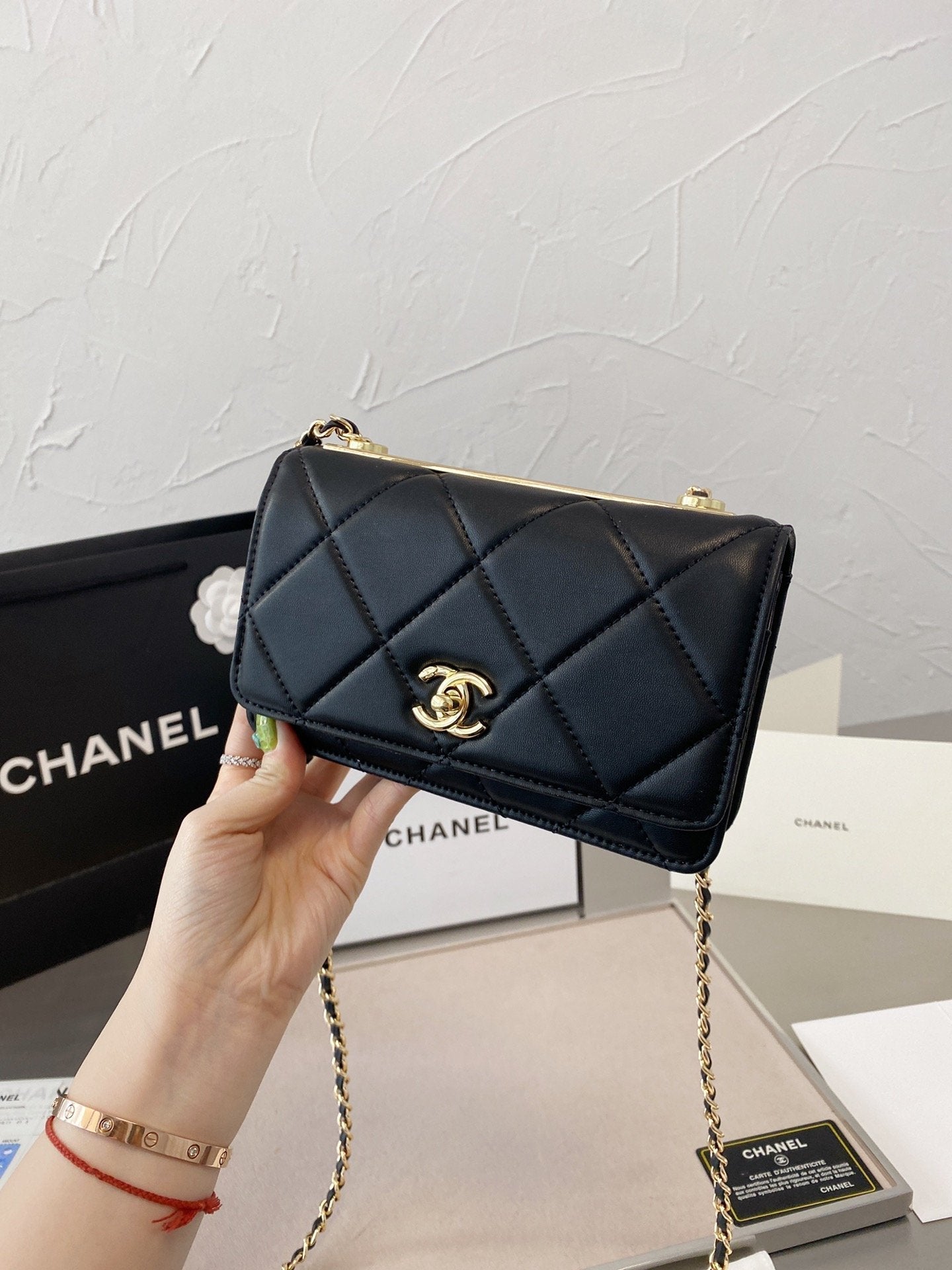 Anum Bags Bags CHL 054
