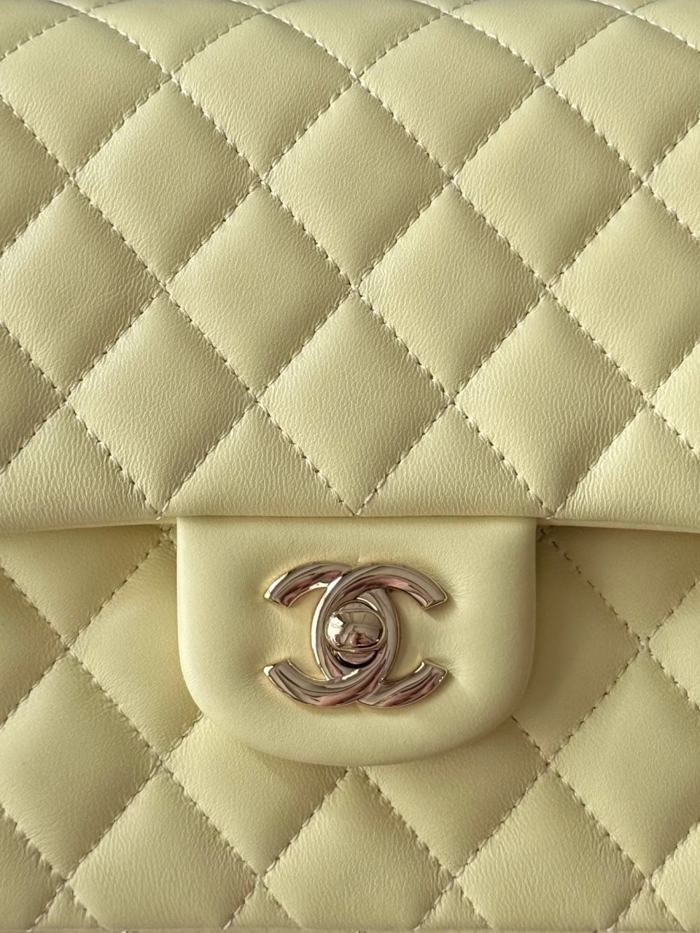 Anum Bags CHn Luxury Bag --112963