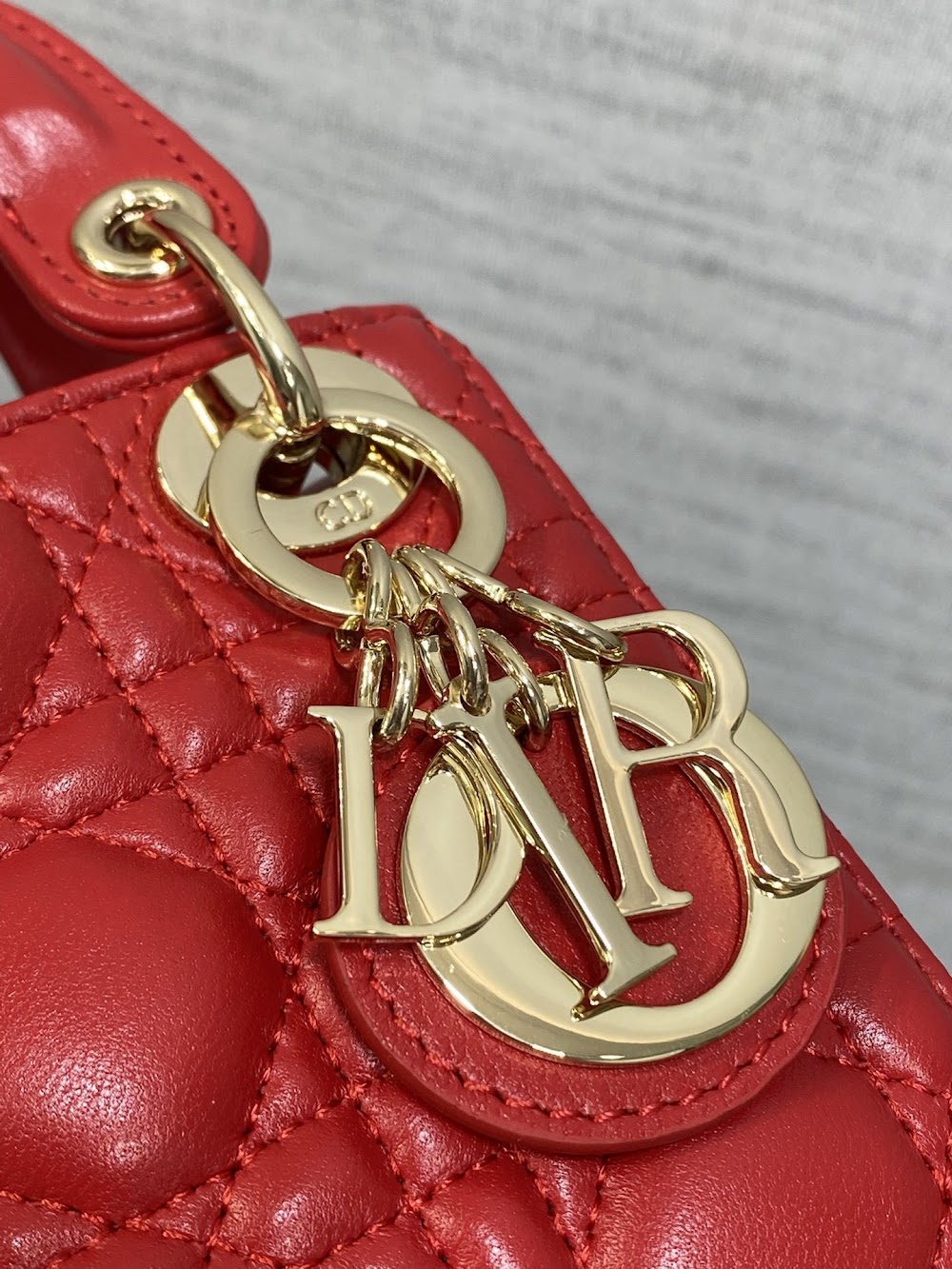 Anum Bags Diorn Luxury Bag --114986