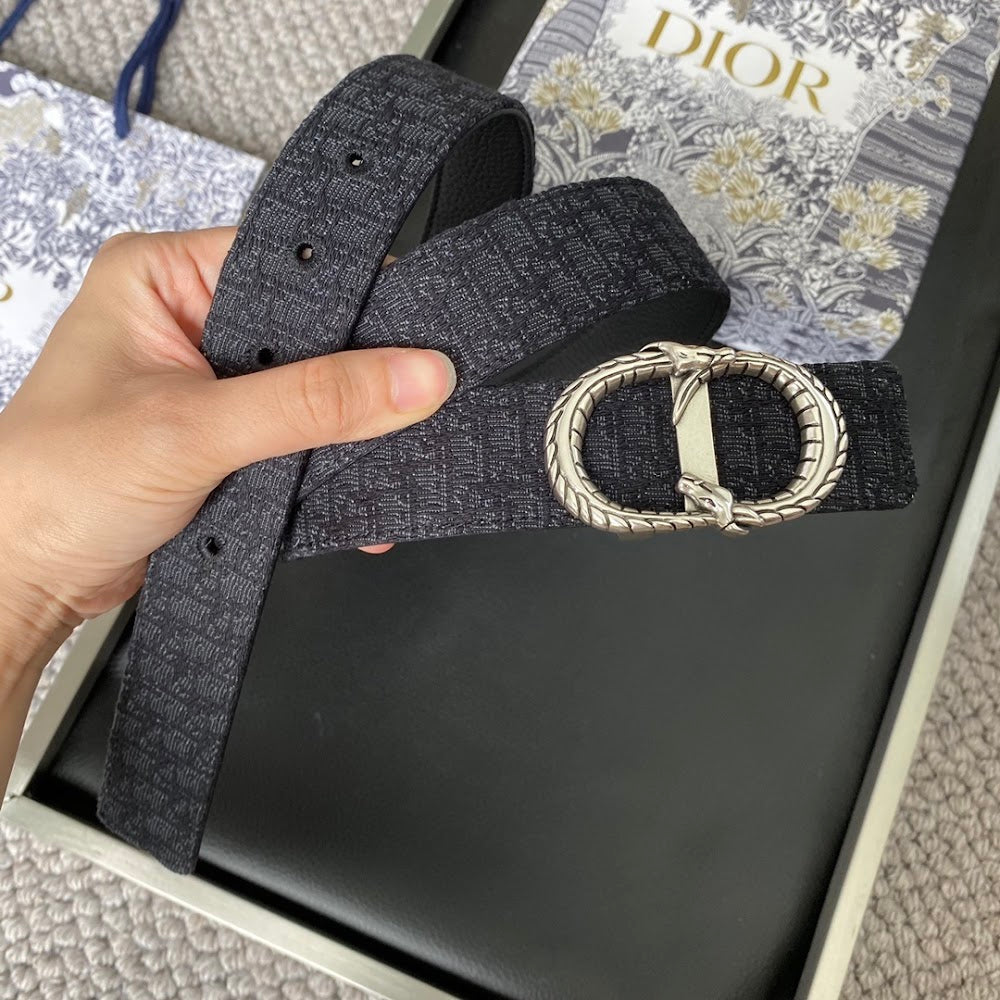 Anum Bags Diorn Luxury Belt --104898